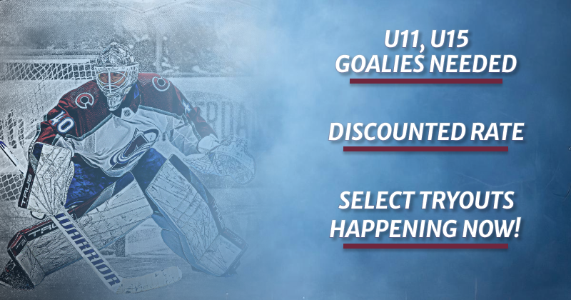 AMHL_Article_-_Goalie_Needed_v1.6.png