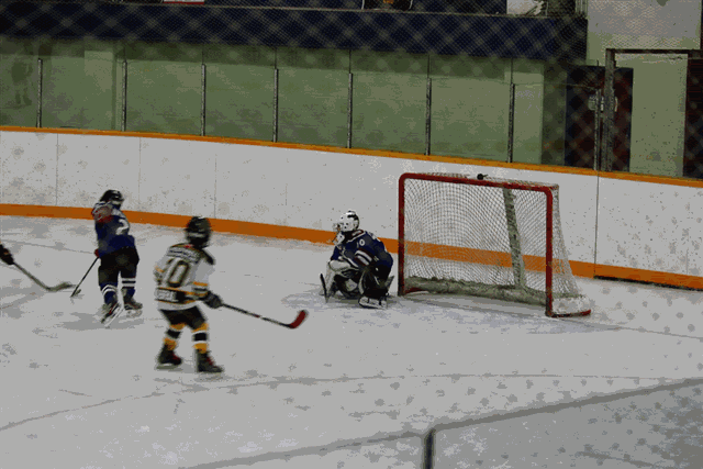 IMG_4000-MOTION.gif
